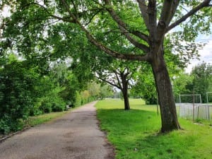 Vigerslevparken Engdraget Valby 