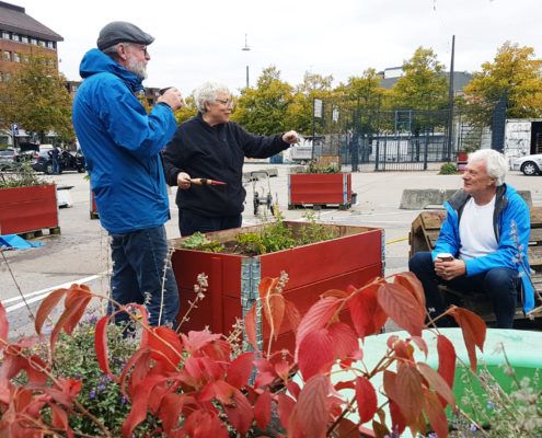 Efterårsplantedag Valby miljøgruppe 2