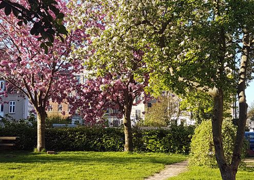 Lokalplan Mølle Alle nyhed