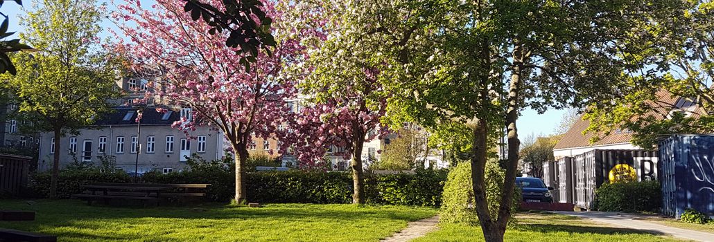 Lokalplan Mølle Alle nyhed