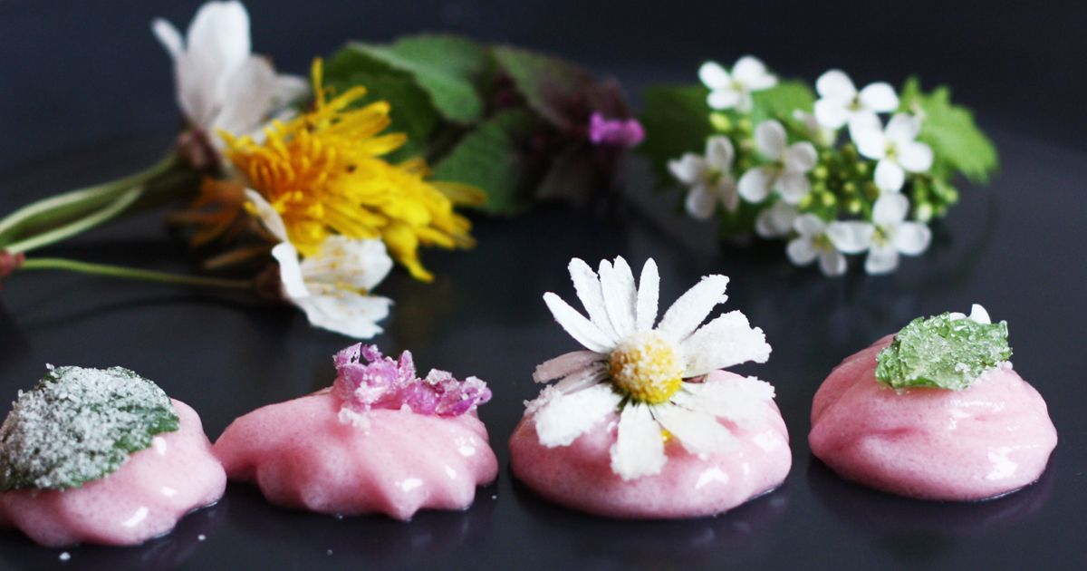 Klimafestival Valby 2019 Blomsterslik workshop med Clorofille