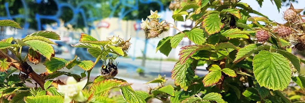 Sommerferie Valby Lokaludvalg nyhed