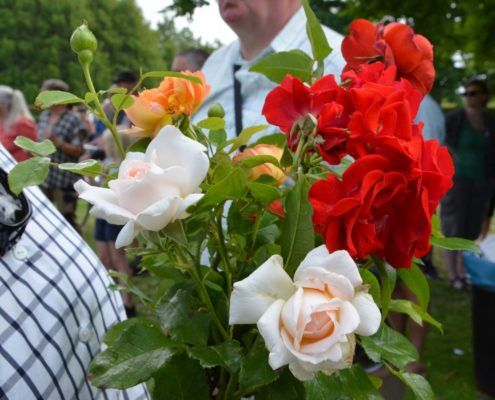 Rosenkåring Valbyparken 2019