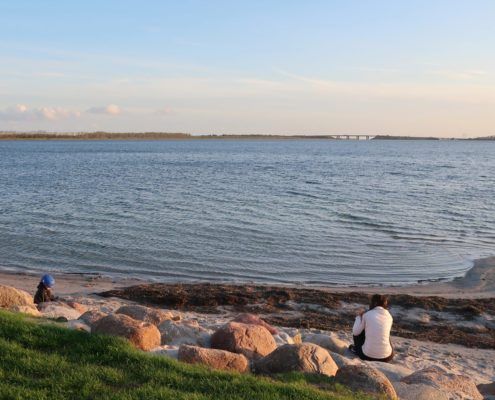 Badestranden i Valbyparken kreditering Jytte Sommer (4)