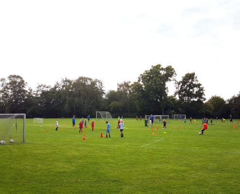 Vigerslevparken Hellas boldklub 2