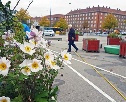 Efterårsplantedag Valby miljøgruppe 12