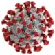 Coronavirus nyhed