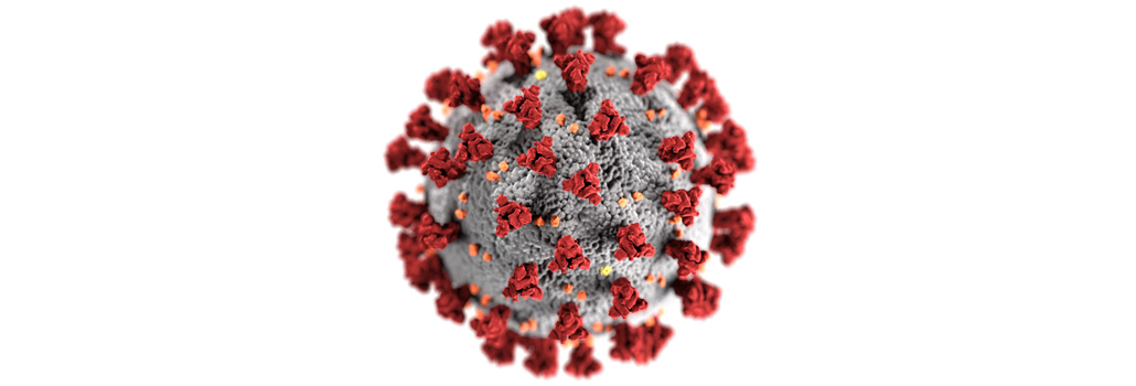 Coronavirus nyhed