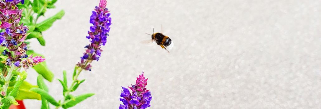 Sommerferie Valby Lokaludvalg info nyhed