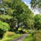 Parktræf Vigerslevparken nyhed