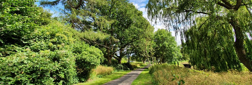 Parktræf Vigerslevparken nyhed