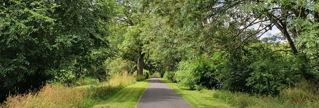 Vigerslevpark- og vejgruppen nyhed