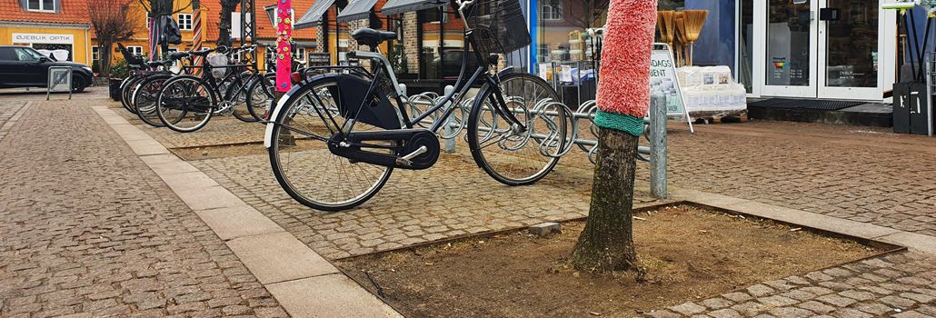 Kummer blomster og stauder nyhed