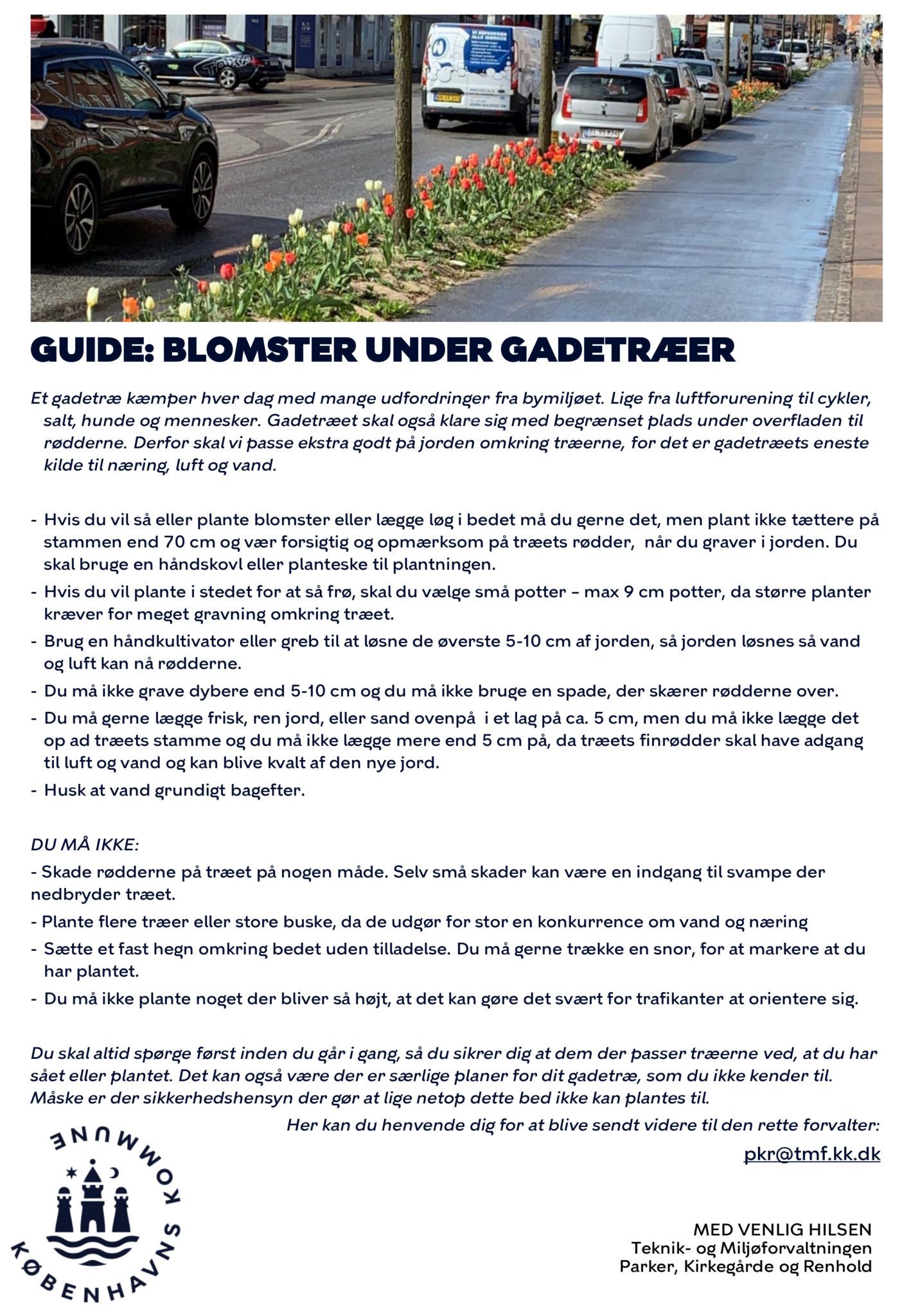 Blomster under gadetræer