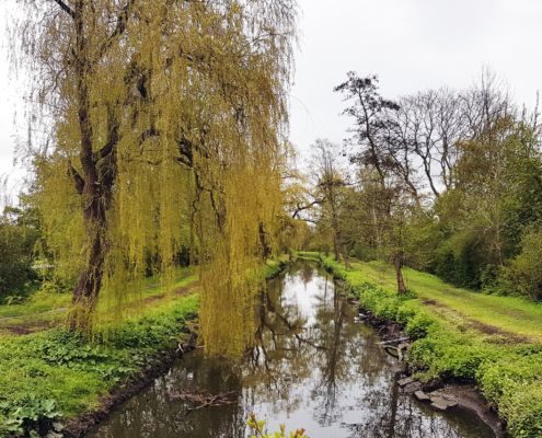 Vigerslevparken Harrestrup Å