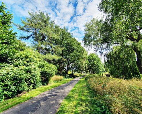 Vigerslevparken Valby