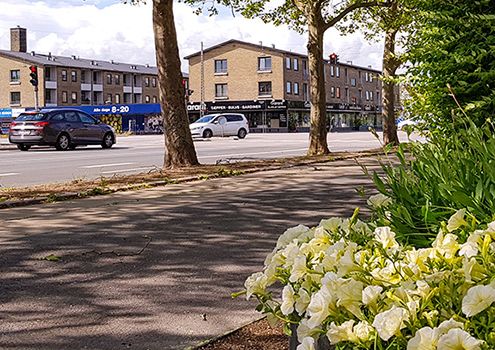 P-zoner ålholm vigerslev nyhed