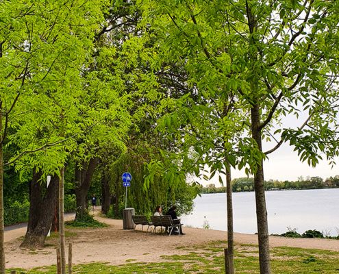 Damhussøen spørgeskema nyhed deling