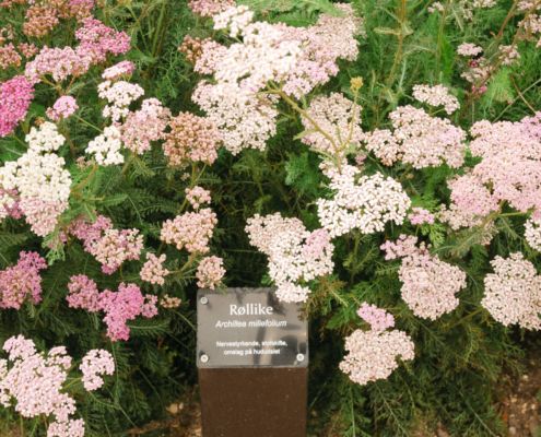 Hildegarden indvielse Valbyparken Valby